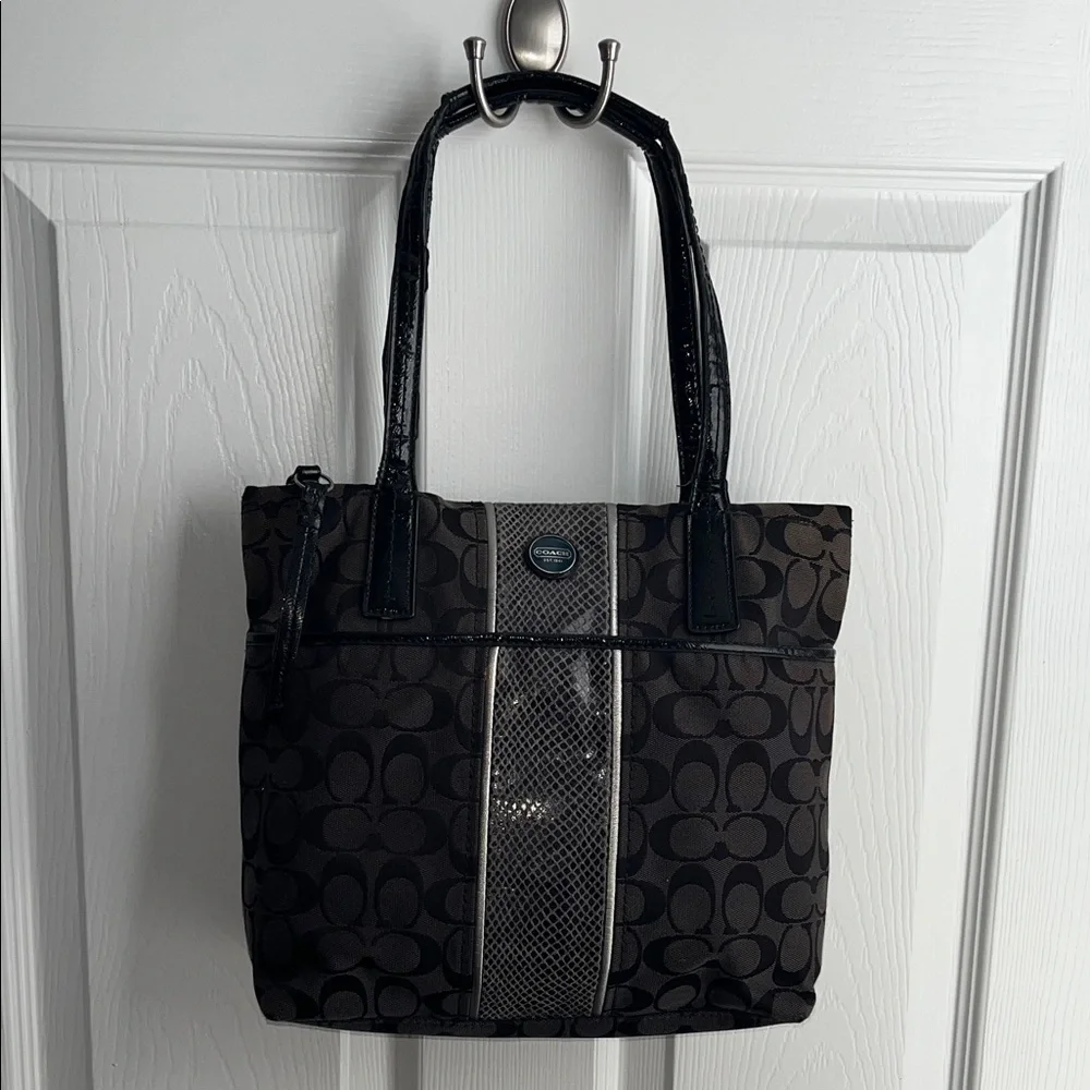 Coach Signature Python Stripe Tote Shoulder Canvas Bag (H1360 - F25706)